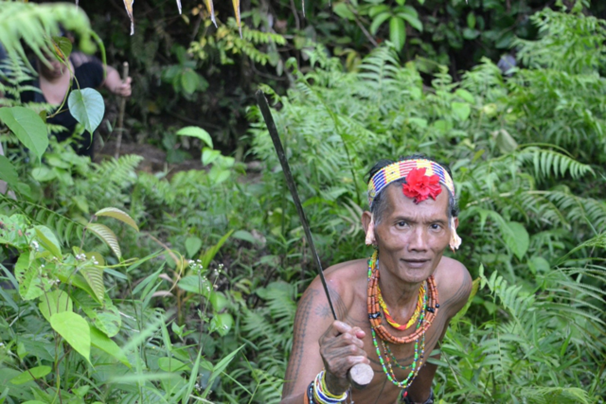 Siberuťané se pohybují džunglí neskutečně rychle