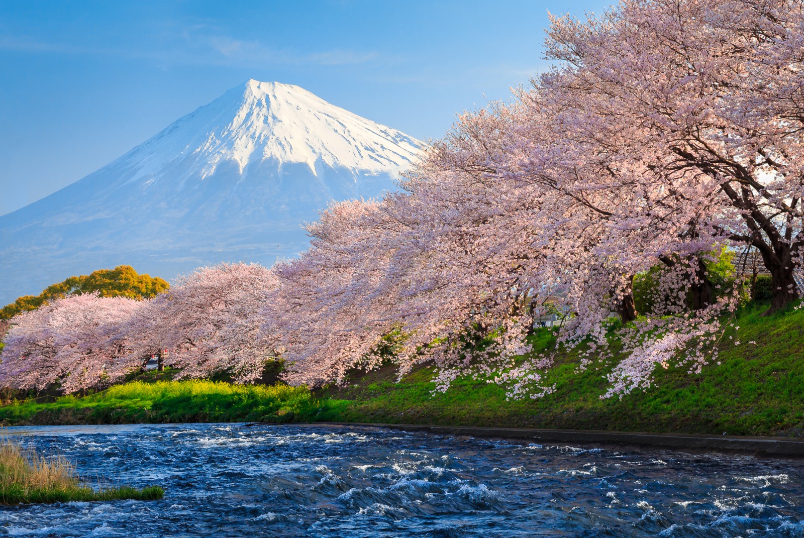 Výhled na Mt. Fuji z jezera Hakone