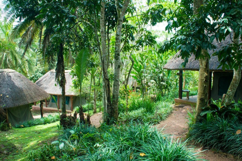 Kibale Forest Lodge