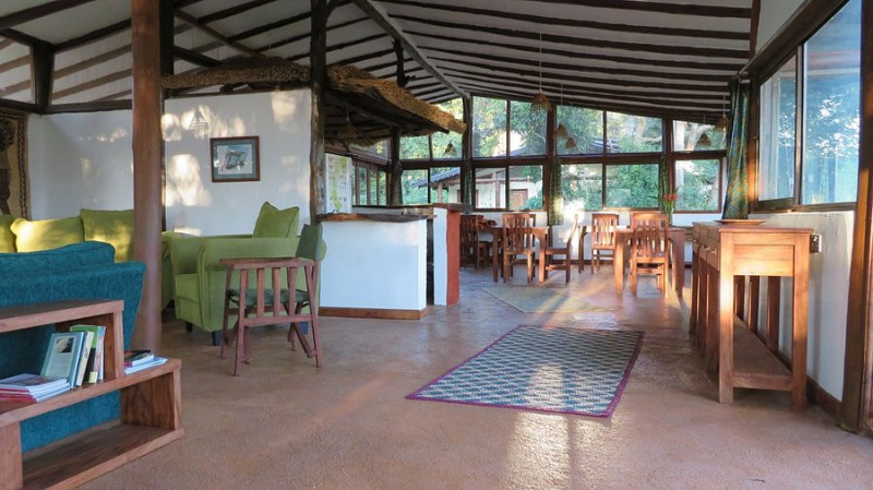 Nkima Forest Lodge