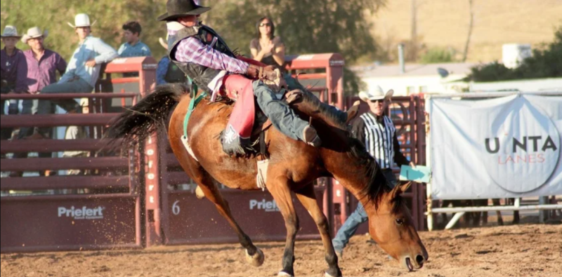 Rodeo – autentický večer Divokého západu