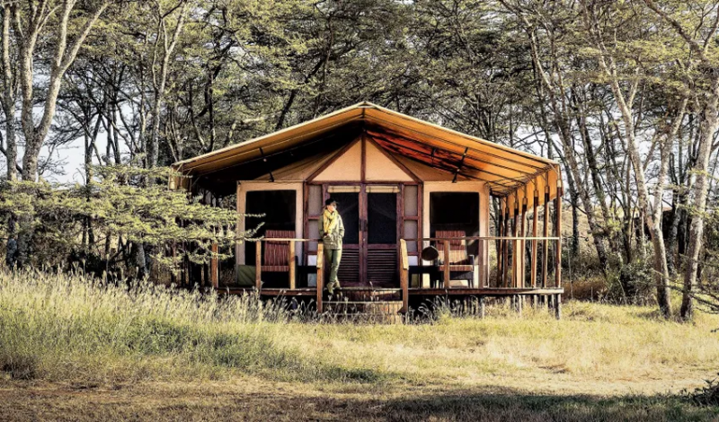 Nejlepší safari tábory světa *****| 9 nocí