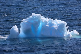 Plovoucí kry krásně modrého ledu starého několik tisíc let.