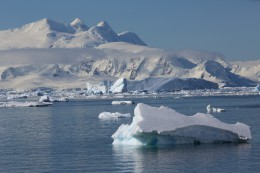Led a ledovce vás budou obklopovat každý den vaší zážitkové plavby po Antarktidě.