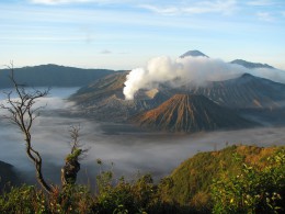 Národní park Semeru a sopka Bromo, Jáva 4