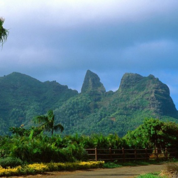 Příroda, sopky, pláže - to je Havaj