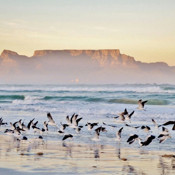 Stolová hora při východu slunce