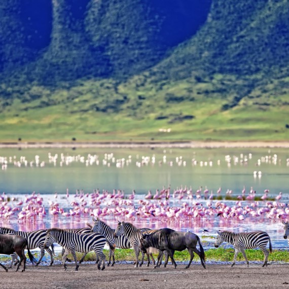 Národní park Ngorongoro