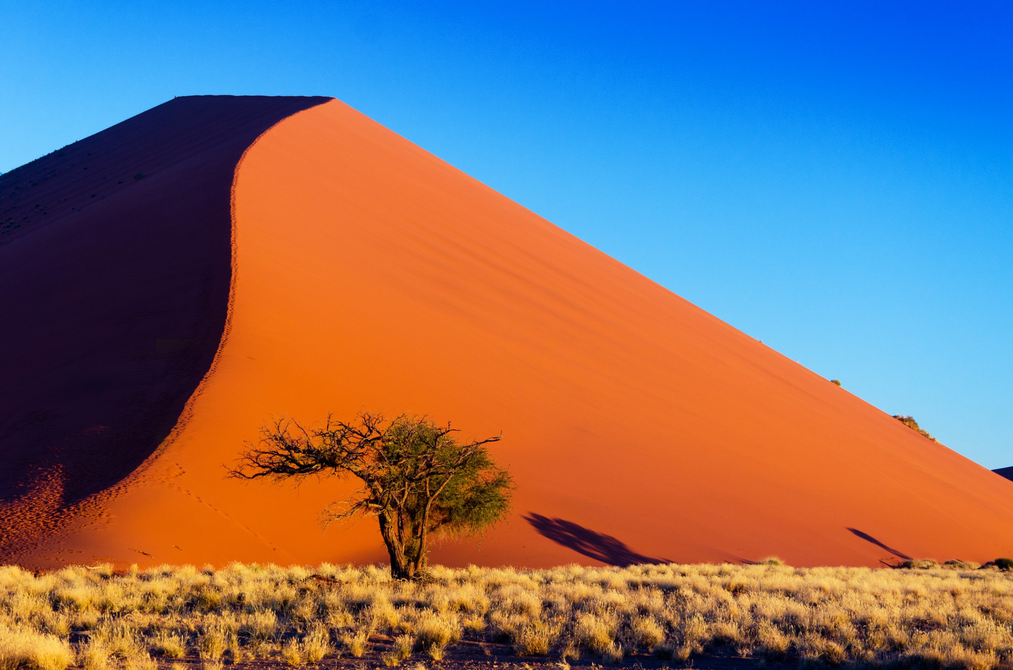 Největší duna na poušti Namib 