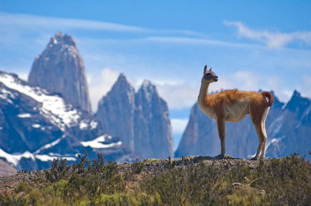 Národní Park Torres del Paine