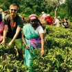 SEN vypomáhá na čajových plantážích místním ženám
