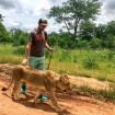 Na procházce se lvy v Zimbabwe