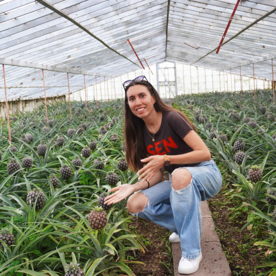 S CK SEN na ananasové plantáži na Azorských ostrovech.