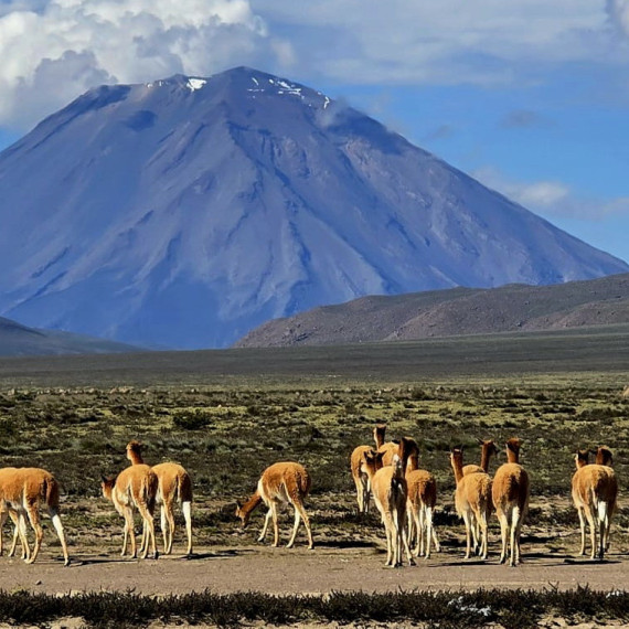 Výhled na sopku Licancabur v Bolívii.