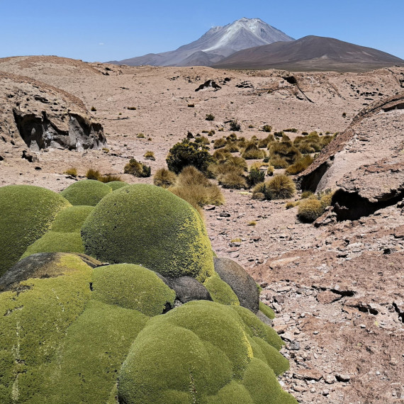Putování po bolivijském Altiplanu s výhledem na sopky.