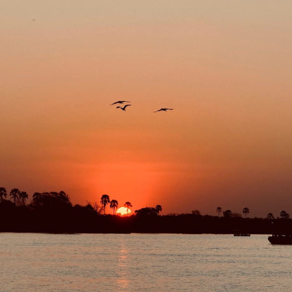 Západ slunce v Botswaně během vodního safari.