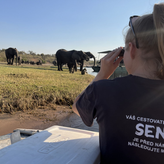 Projížďka lodí kolem stáda slonů v národním parku v Botswaně.