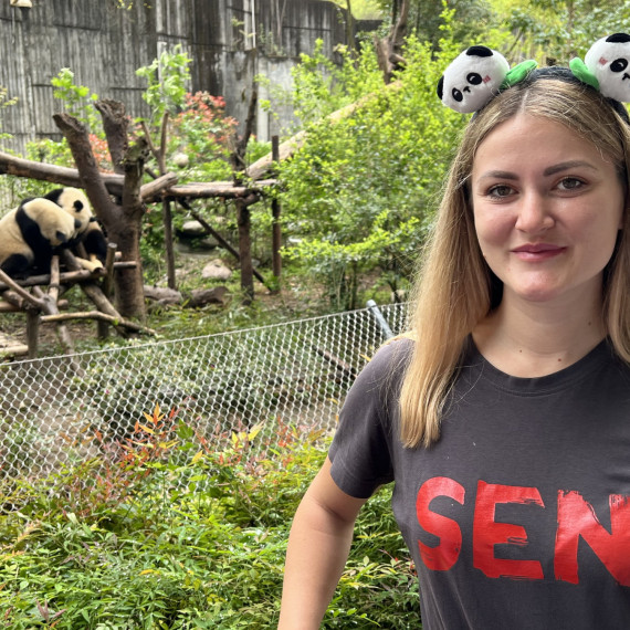 Nejpopulárnější zvíře v Číně? Jednoznačně panda!