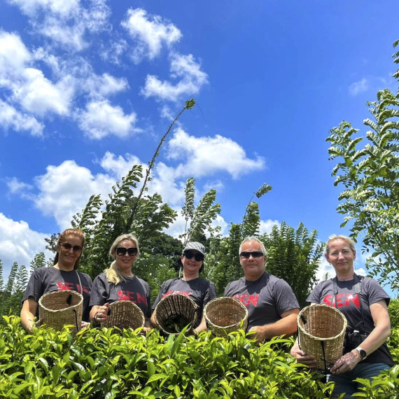 SEN klienti na čajové plantáži na Srí Lance.