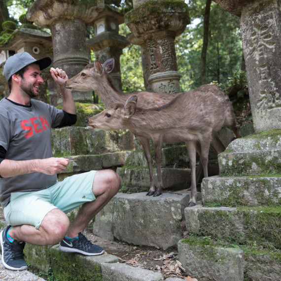Srnky u budhistického chrámu Kófukudži v jaonském městě Nara.