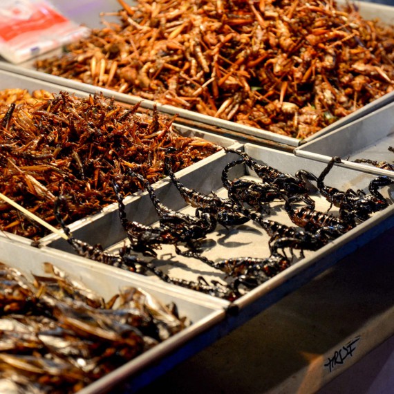 Exotický streetfood na Khao San Road. 