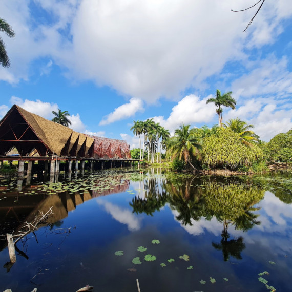 Kubánská příroda.