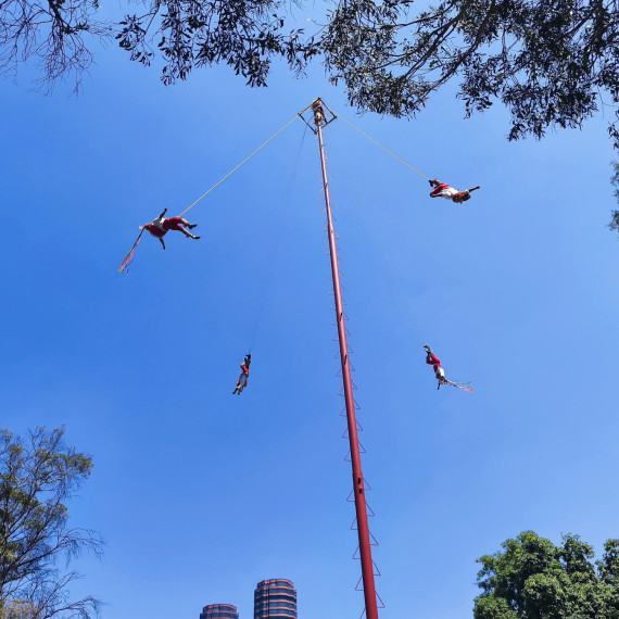 Slavní artisté v Mexiku je dokonalá podívaná. 