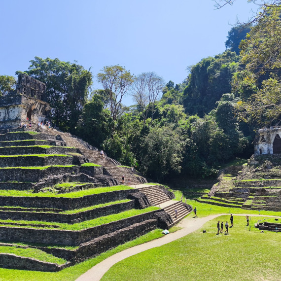 Pyramida Palenque v Mexiku.