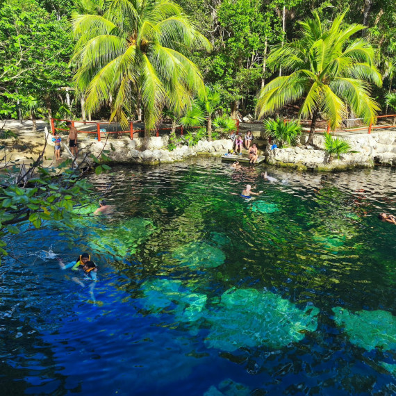 Koupání v Cenotes.
