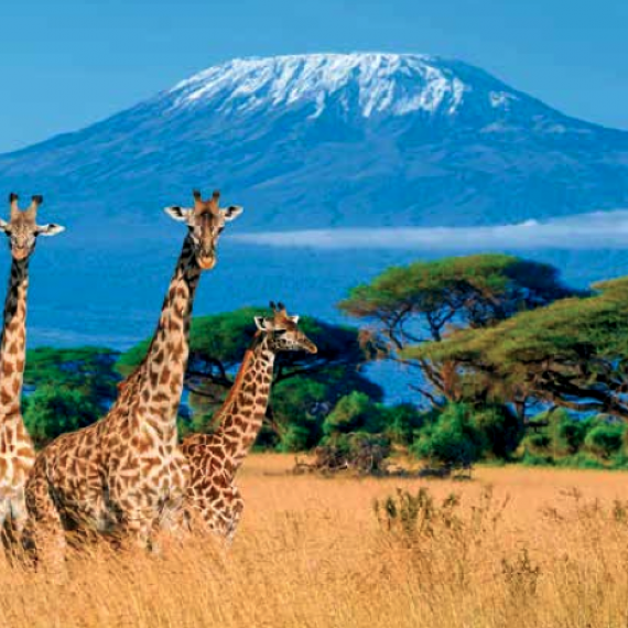 Africké safari přímo pod Kilimanjarem