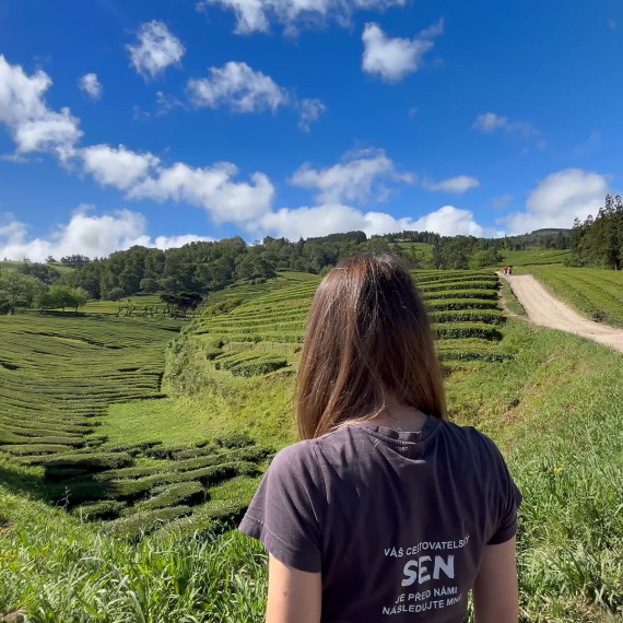 CK SEN na čajové plantáži Gorreana.