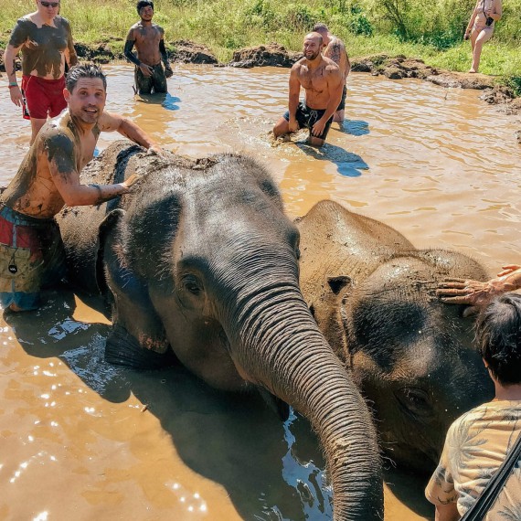Bahení koupel se slony. 