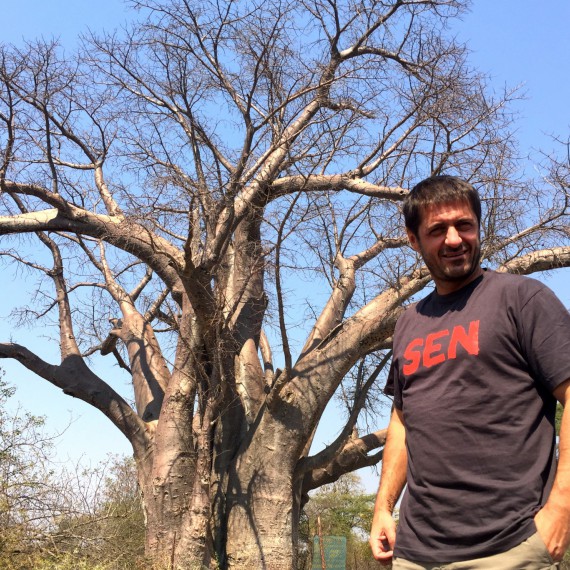 Obrovský baobab na jihu Afriky 