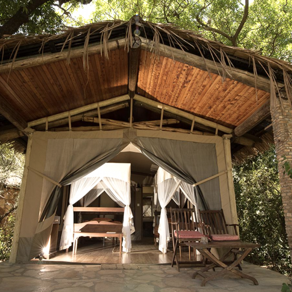 Fig Tree Camp v Masai Mara