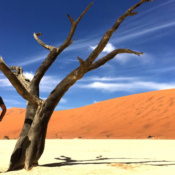 Zájezdy do Namíbie.
