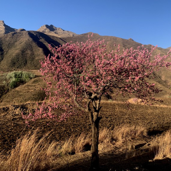 Nádherné horské království 