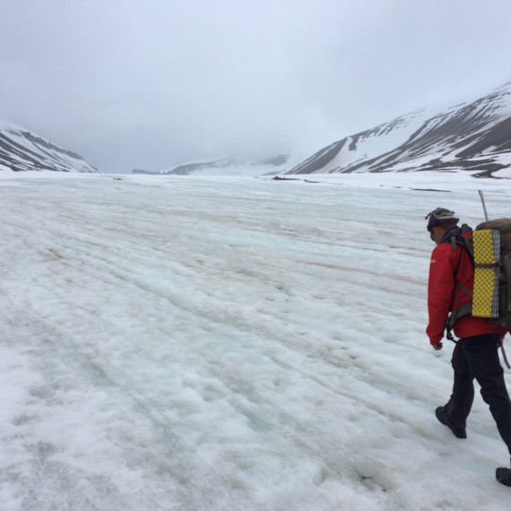 Na treku po Špicberkách musíte být vždy ve střehu.