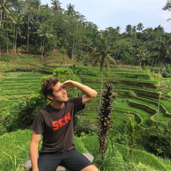 Známá rýžová pole nedaleko města Ubud