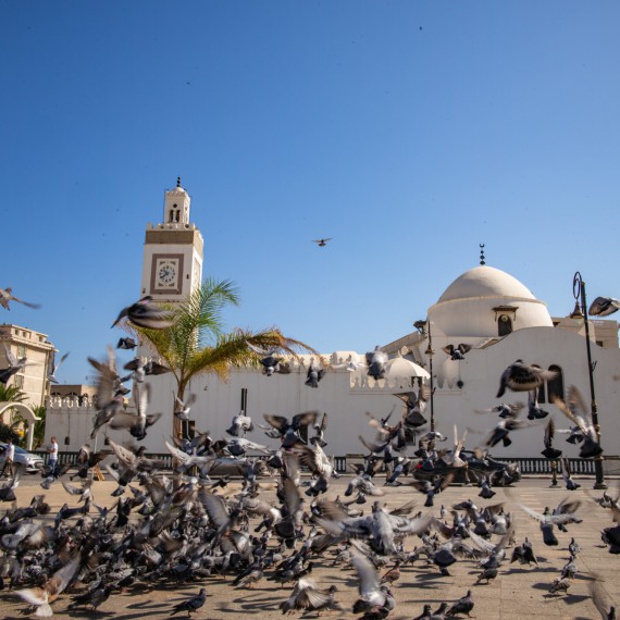 Alžír - 7 milionové město největší africké země 