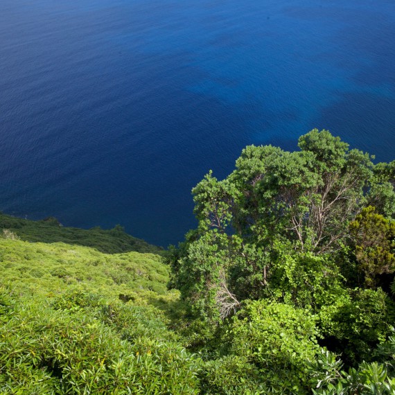 Srázy a výhledy při okruhu na ostrově Pico