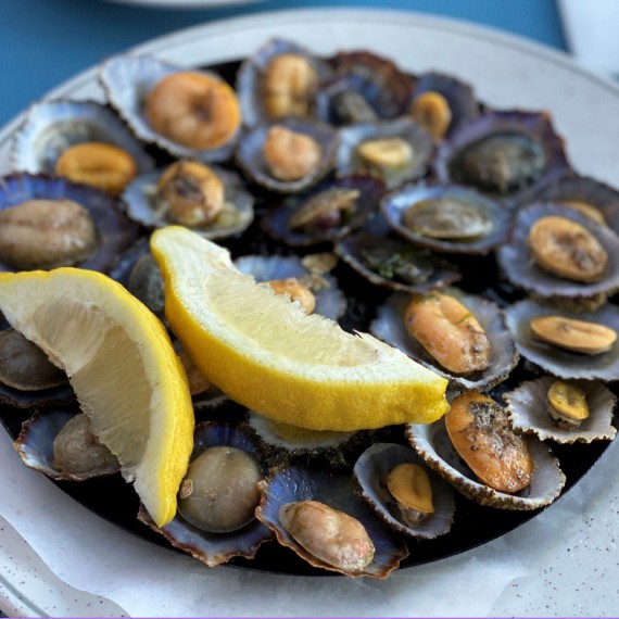 Mořští slimáci na česneku