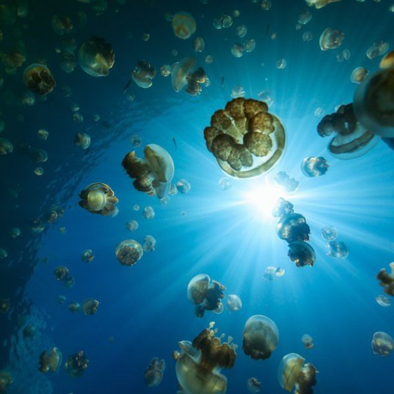 Zážitek na celý život 