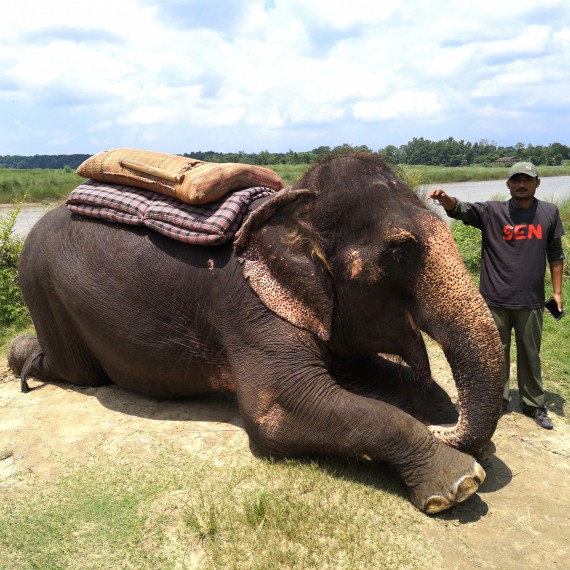 Projížďka na slonovi v národním parku Chitwan