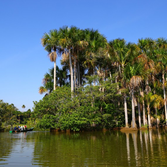 Bolivijská džungle