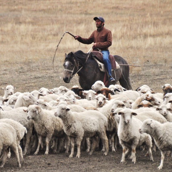 Život místních v Arménii