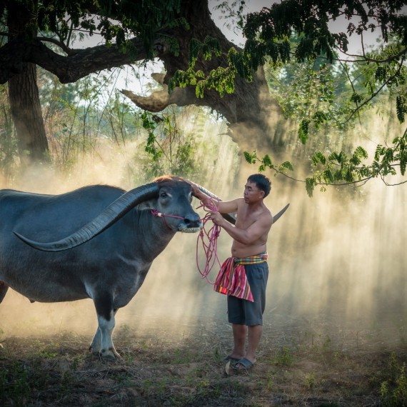 Taková zvířata v Čechách nepotkáte