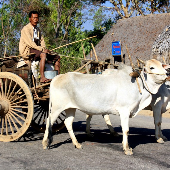 Dozvíte se, jak se žije na vesnici