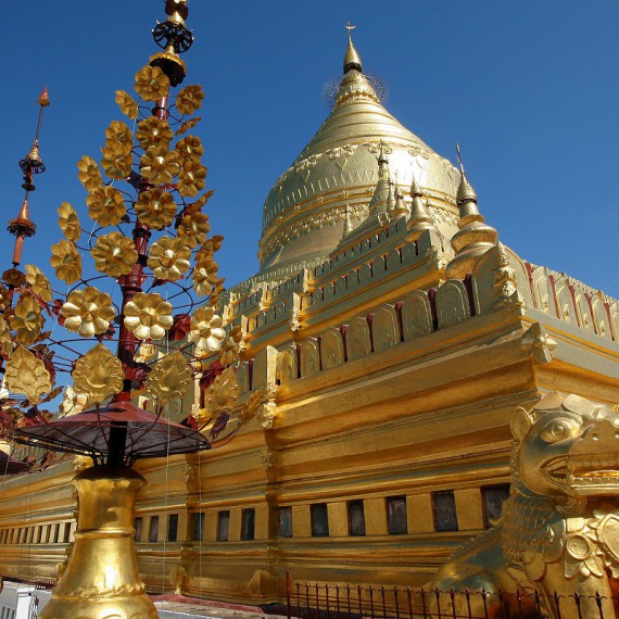 Zlato, kam se podíváte