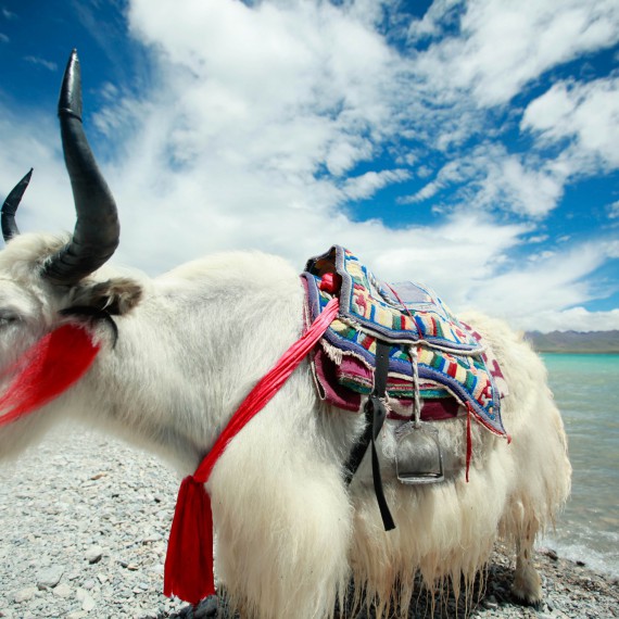 Přes himalájská sedla míříme na východ