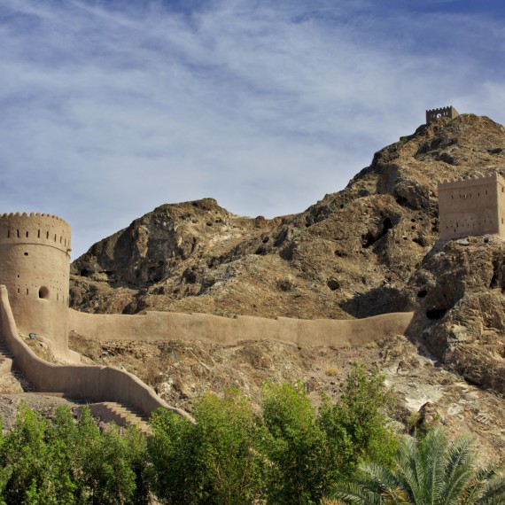 Příroda Spojených Emirátů 